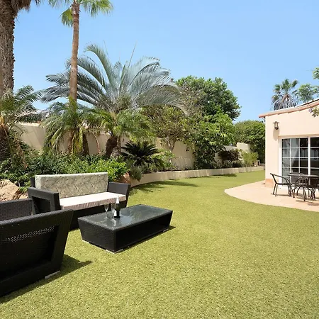 Jacaranda * 圣米格尔德阿沃纳