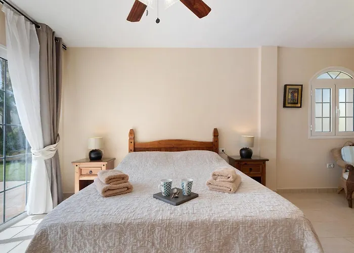 Jacaranda * 圣米格尔德阿沃纳