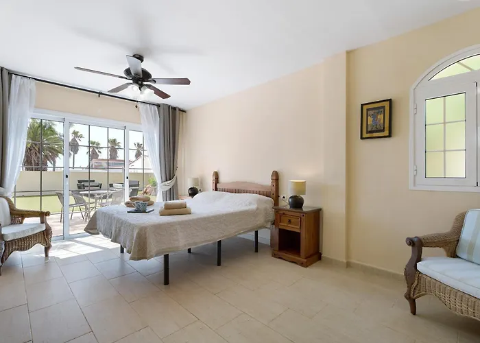 فيلة Jacaranda *